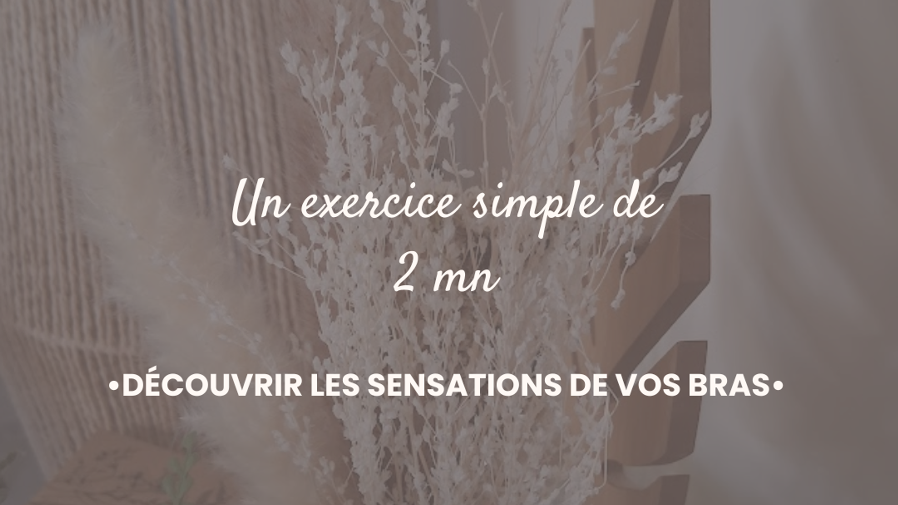 Toutes les vidéos